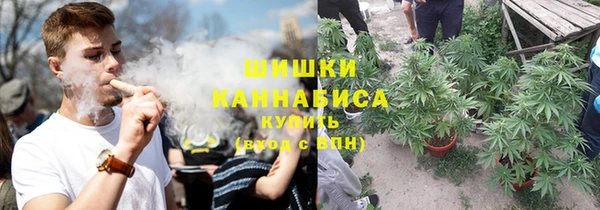 ГАЛЛЮЦИНОГЕННЫЕ ГРИБЫ Елизово