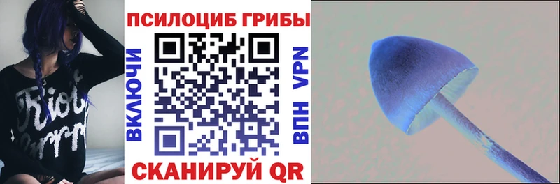 blacksprut рабочий сайт  цены   Карталы  Галлюциногенные грибы MAGIC MUSHROOMS 